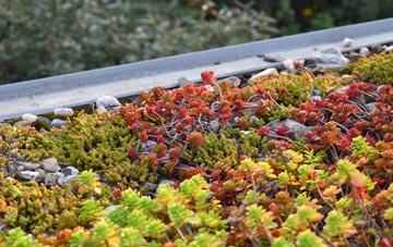 the cost of Deepcut green roof installation
