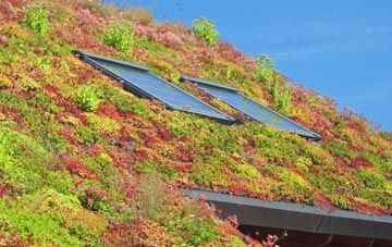 Deepcut living roof systems