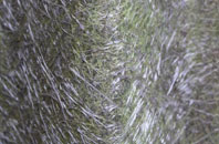 Deepcut fibreglass roof work